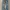 True Religion Vintage Streetwear Jeans Pria Multicolor