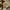 Dickies Vintage Y2K Harrington jacket Pria tan photo 2