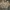 Dickies Vintage Y2K Harrington jacket Pria tan photo 1