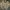 Dickies Vintage Y2K Harrington Jacket Pria Tan