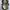 JanSport Streetwear Sportswear Bag Pria green photo 5