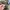 JanSport Streetwear Sportswear Bag Pria green photo 7