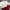 Coquette Casual Wanita cream red photo 1