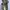 JanSport Streetwear Sportswear Bag Pria gray photo 7