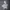 Reebok Streetwear Sportswear Jumper Pria cream tan photo 3