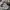 Reebok Streetwear Sportswear Jumper Pria cream tan photo 6
