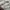 Zara Luxury Minimalist Puffer jacket Wanita white tan photo 5