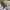 Zara Luxury Minimalist Puffer jacket Wanita white tan photo 6