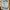 Zara Luxury Minimalist Puffer jacket Wanita white tan photo 3