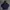 Adidas Indie Hoody Pria navy photo 1