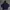 Adidas Indie Hoody Pria Navy