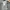 Stradivarius Streetwear Cami Top Wanita Multicolor