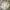 Outdoor Research Futurist Casual Windbreaker Pria cream tan photo 1