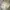 Outdoor Research Futurist Casual Windbreaker Pria Cream Tan