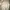 Outdoor Research Futurist Casual Windbreaker Pria Cream Tan