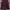 Japanese brand Streetwear Y2K Hoody Pria burgundy photo 2