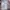 Adidas Avant Garde T-shirt Pria multicolor photo 4