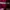 Giordano Casual Polo shirt Pria burgundy pink photo 2