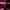Giordano Casual Polo Shirt Pria Burgundy Pink