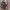 Hollister Avant Garde Hoody Pria Multicolor