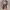 Hollister Avant Garde Hoody Pria Multicolor