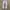 Japanese brand Vintage Y2K Jeans Pria white gray photo 3