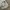 Japanese brand Vintage Y2K Jeans Pria white gray photo 5
