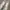 Japanese brand Vintage Y2K Jeans Pria white gray photo 2