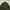 Casual Parka Pria green photo 3