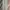 Takeo Kikuchi Casual Jeans Pria tan photo 1