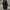 Luxury Sweatpants & Joggers Pria navy photo 1