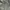 Streetwear Minimalist Harrington jacket Pria tan photo 4