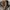 Streetwear Minimalist Harrington jacket Pria tan photo 5
