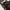 Japanese brand Vintage Pria burgundy black photo 7
