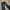 Vintage Y2K Jeans Pria white navy photo 1
