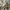 Napapijri Futurist Casual Jumper Pria gray photo 4