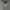 Adidas Futurist Casual Sweater Pria gray photo 3