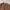 Cinema Club Vintage Cardigan Pria tan photo 2