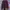 Champion Streetwear Y2K Sweatshirt Pria burgundy photo 3