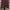 Champion Streetwear Y2K Sweatshirt Pria burgundy photo 4