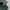 Japanese brand Vintage Polo shirt Pria green photo 5