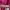 Fairy Futurist Skirt Wanita pink photo 4