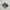 Vans Casual Sneakers Pria white black photo 1