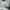 Vans Casual Sneakers Pria white black photo 5