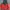 Nike Y2K Sportswear Windbreaker Pria orange gray photo 1