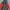 Nike Y2K Sportswear Windbreaker Pria orange gray photo 2