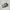 Onitsuka Tiger Casual Sneakers Pria cream gray photo 3