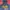 Dickies Streetwear Bomber jacket Pria navy photo 3