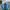 GAP Biker Casual Track Jacket Pria Blue Black