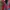 ZARA Vintage Maxi dress Wanita navy red photo 2